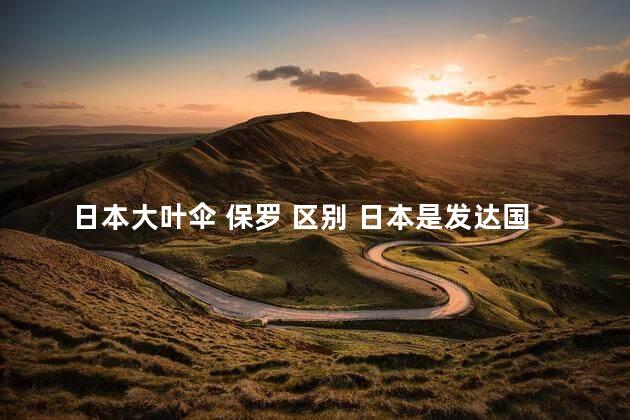 日本大叶伞 保罗 区别 日本是发达国家吗